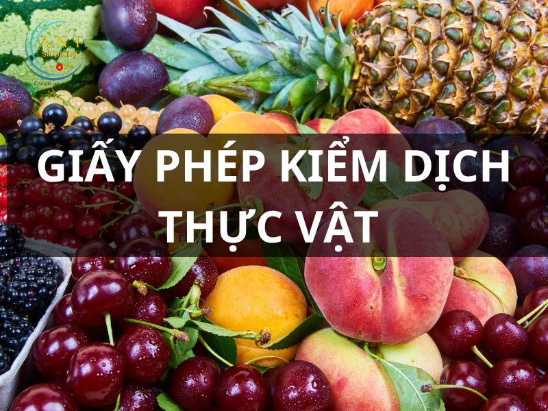 Thủ tục nhập khẩu trái cây tươi