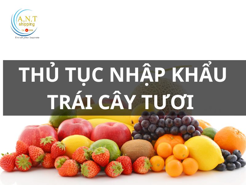 Thủ tục nhập khẩu trái cây tươi