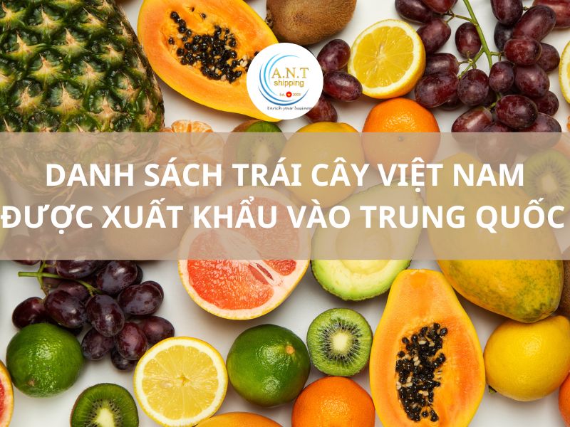 Danh mục các loại trái cây xuất khau chính ngạch vào Trung Quốc